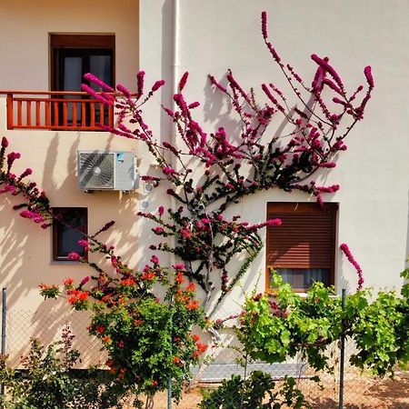 Dina Apartments Скалета Екстер'єр фото